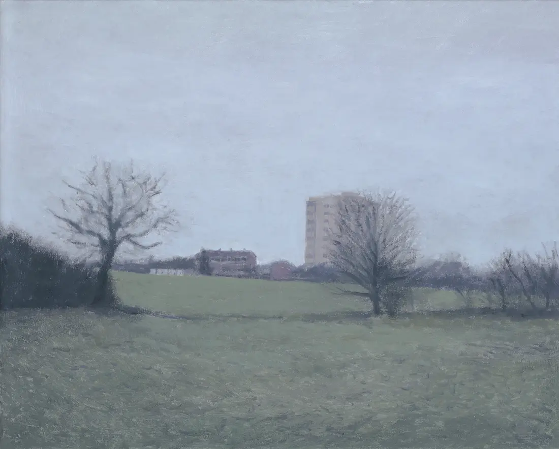 the playing fields